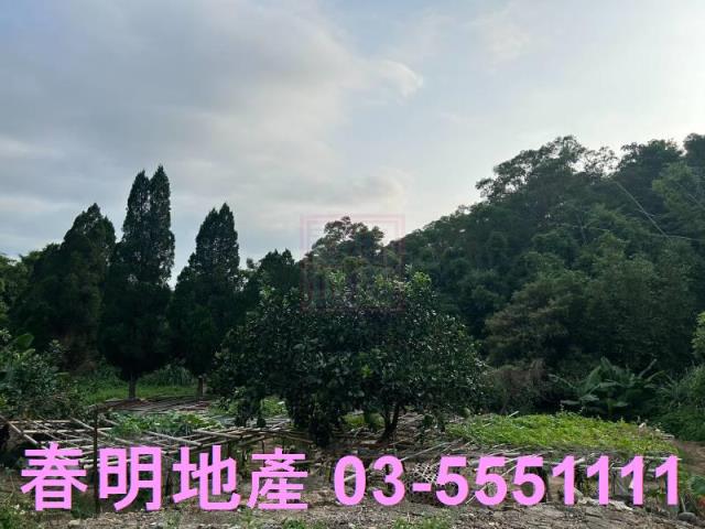 新竹新埔農地-4