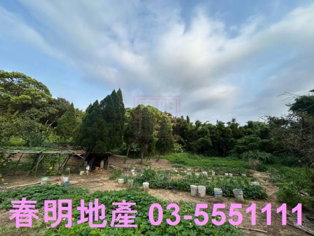 新竹新埔農地-5