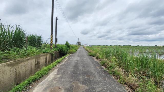 善化農地-10