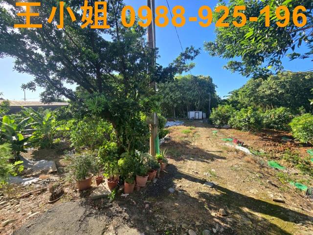 八德農地-1