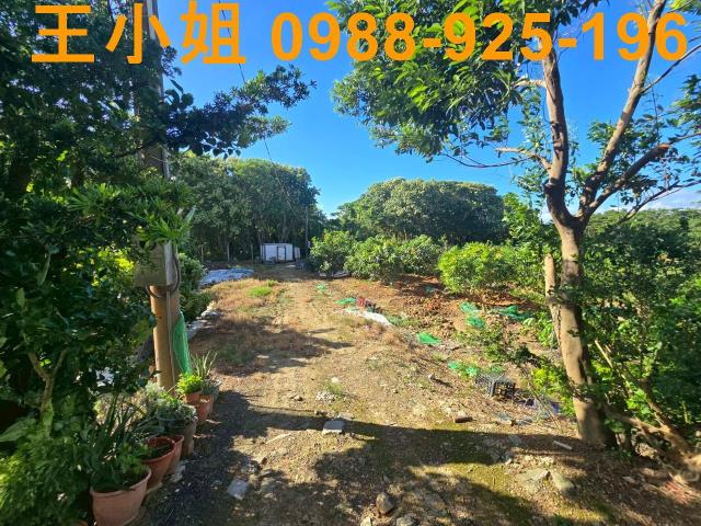 八德農地-2