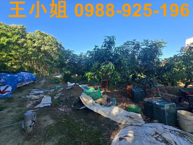 八德農地-7