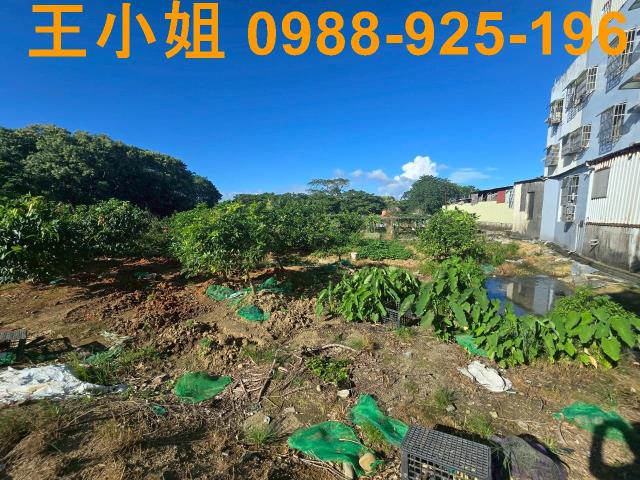 八德農地-8