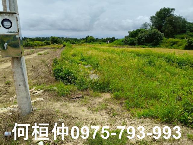 後龍農地-2