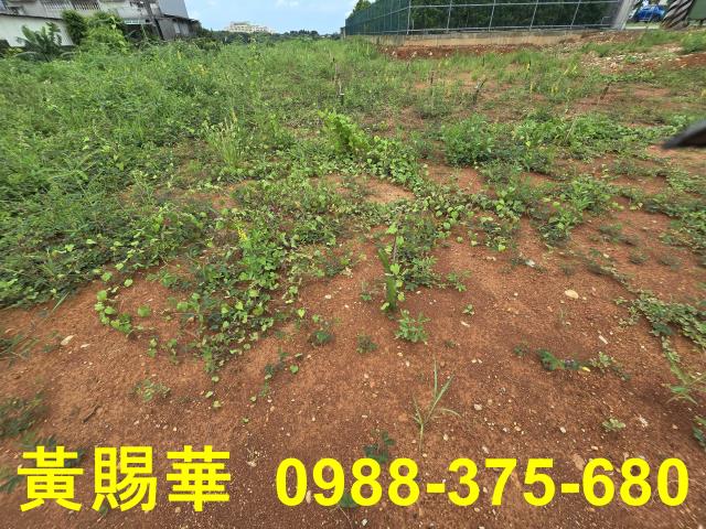 桃園農地-5