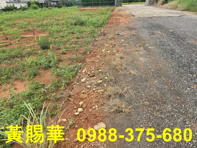 桃園農地-6