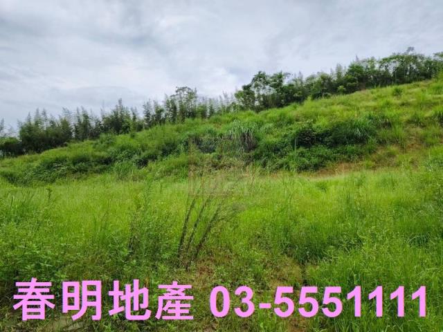 新竹峨眉農地-10