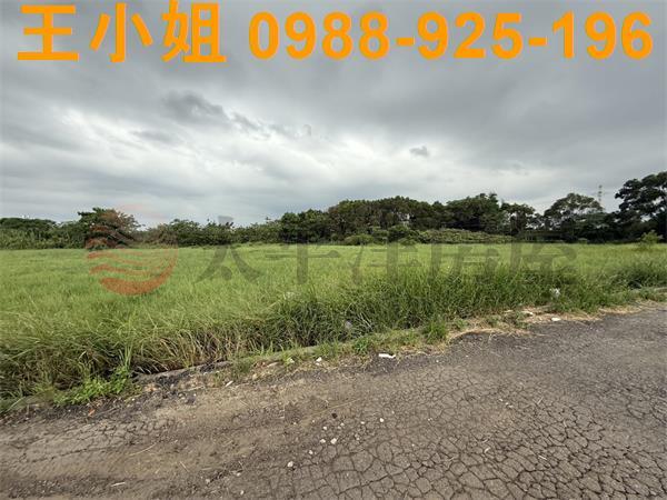 桃園中壢農地-1