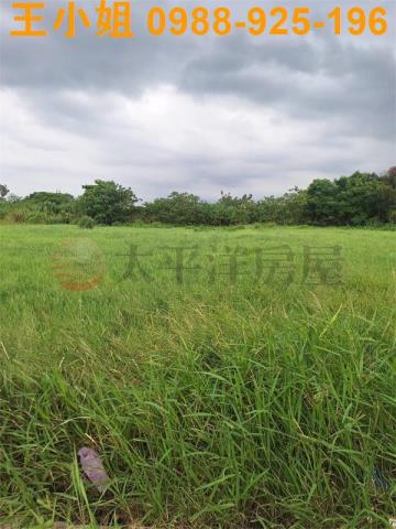 桃園中壢農地-3