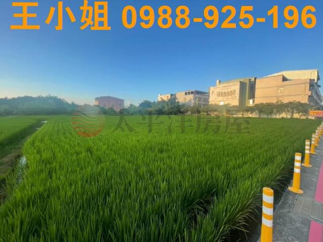 桃園中壢農地-10