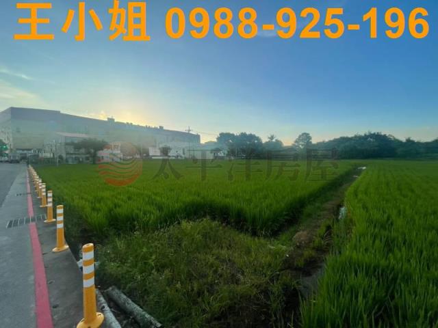 桃園中壢農地-11