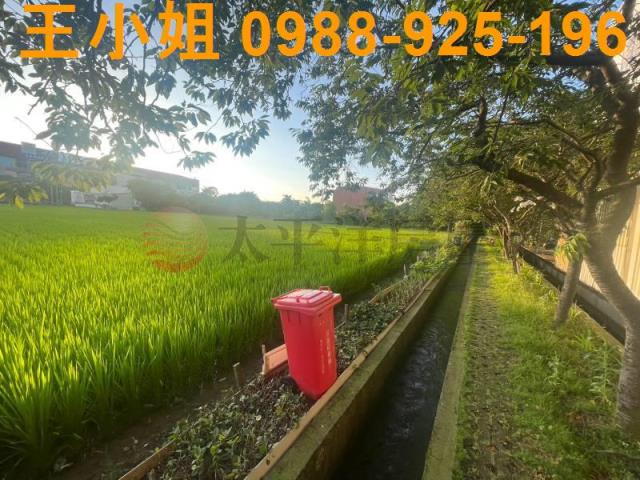 桃園中壢農地-1