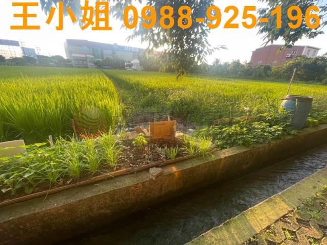 桃園中壢農地-2