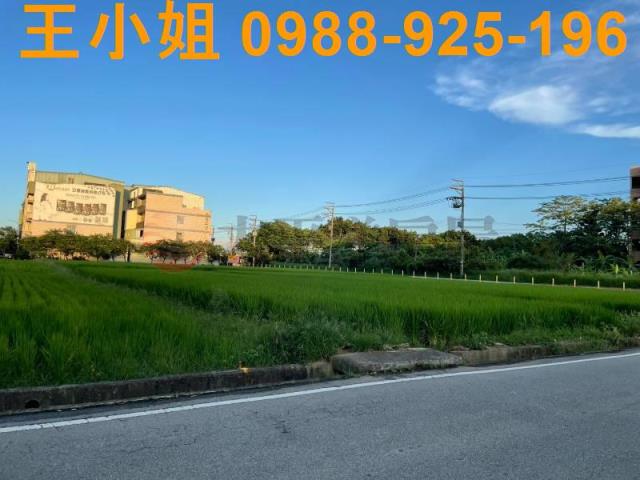 桃園中壢農地-3