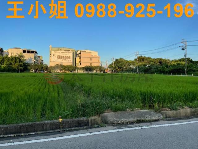 桃園中壢農地-4