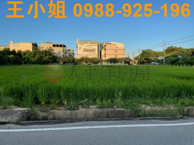 桃園中壢農地-5