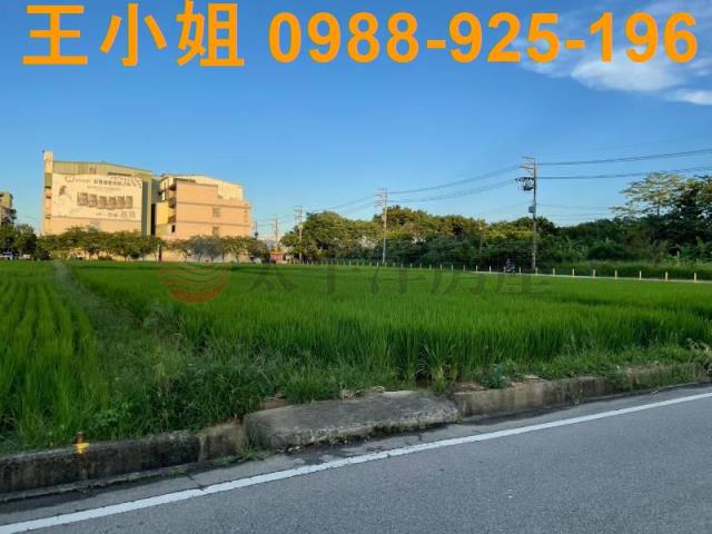 桃園中壢農地-6