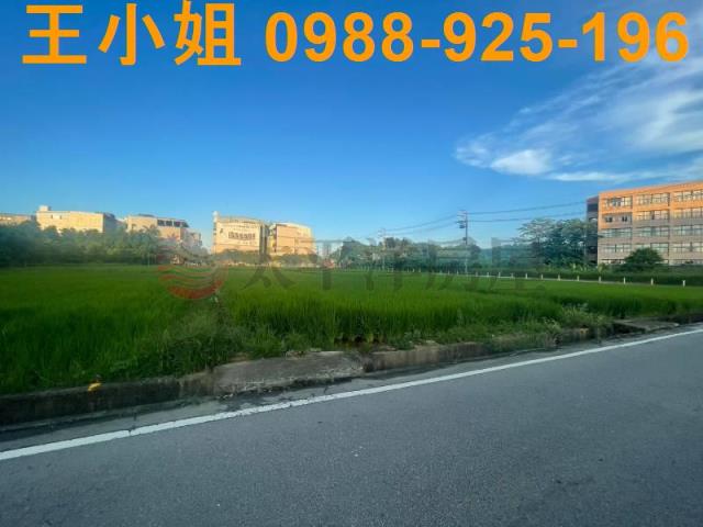 桃園中壢農地-8
