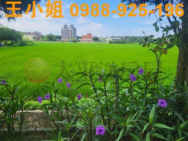 桃園中壢農地-1