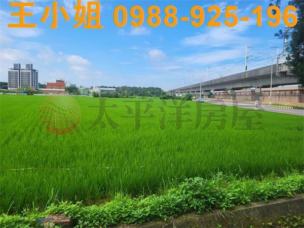 桃園中壢農地-2