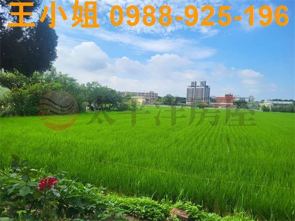 桃園中壢農地-4