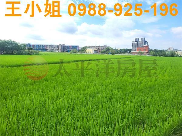 桃園中壢農地-5