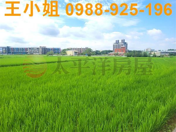 桃園中壢農地-6