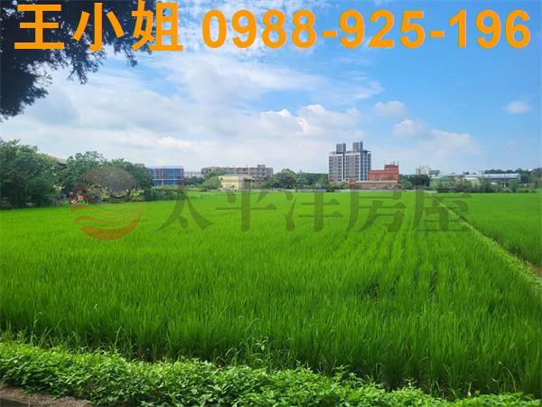 桃園中壢農地-7