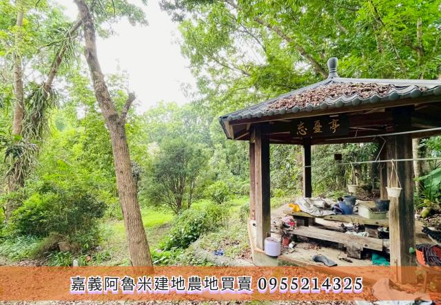 竹崎農地-5