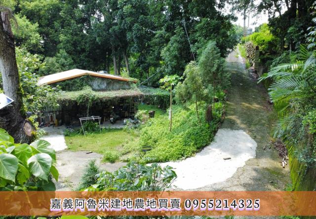 竹崎農地-6