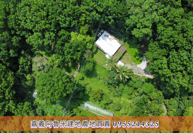 竹崎農地-7