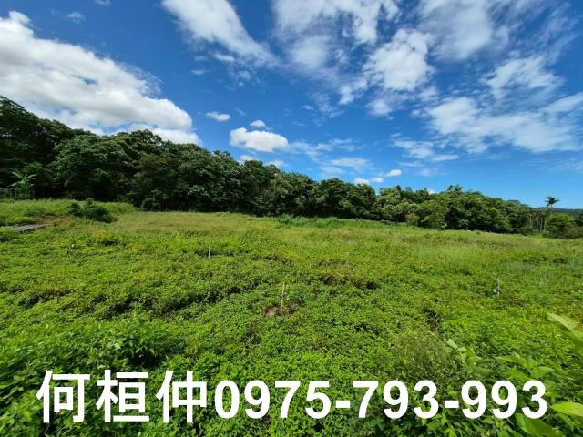 銅鑼農地-1