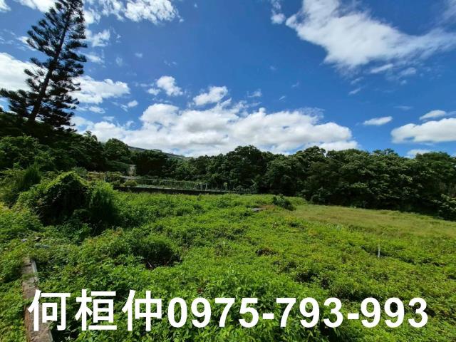 銅鑼農地-2
