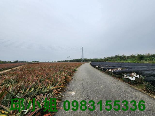 大林農地-2