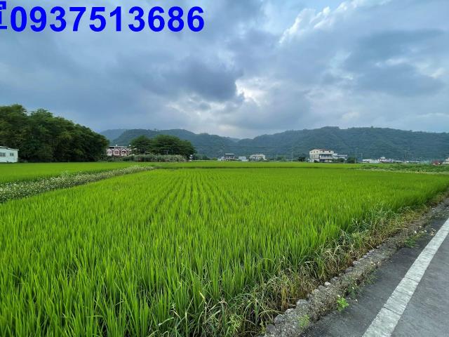 員山農地-1