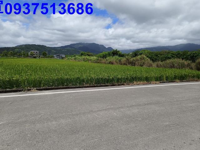 員山農地-10
