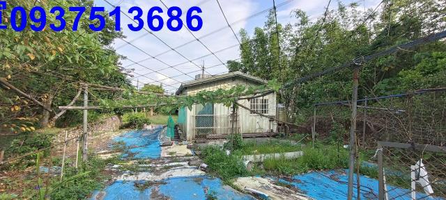 員山農地-8