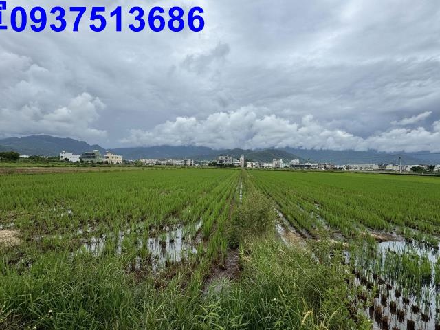 員山農地-13