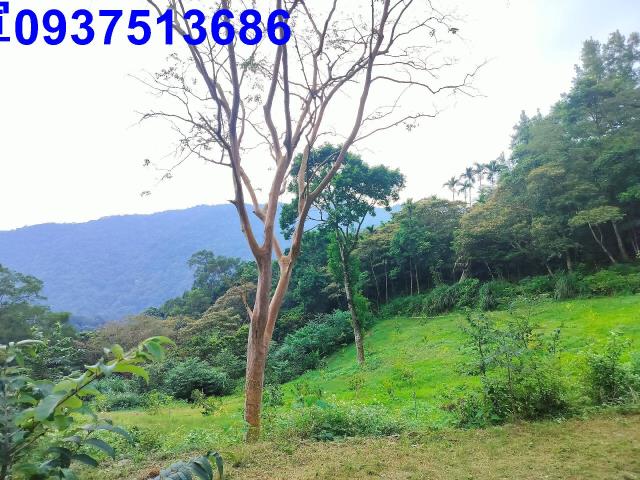 宜蘭農地-10