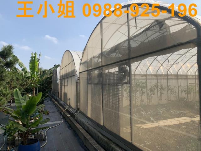 桃園中壢農地-11