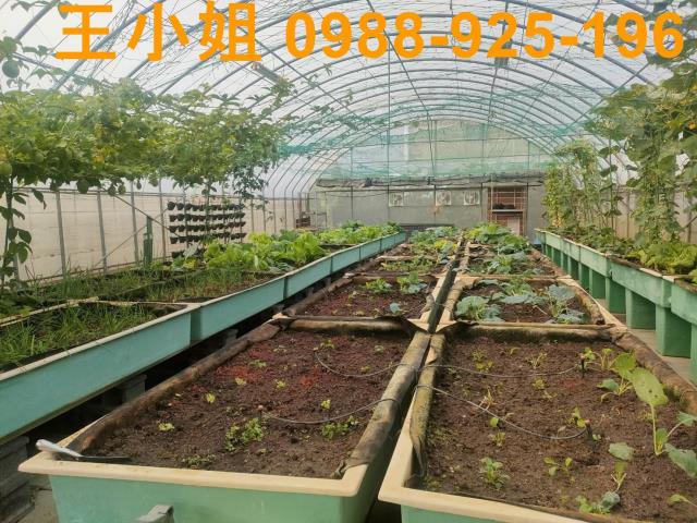 桃園中壢農地-12