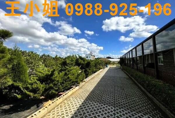 桃園中壢農地-8