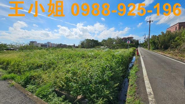 桃園中壢農地-2