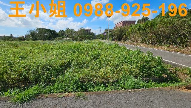 桃園中壢農地-3