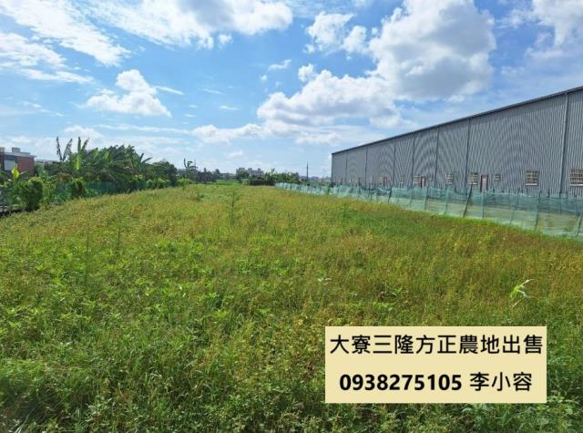 高雄大寮農地-2