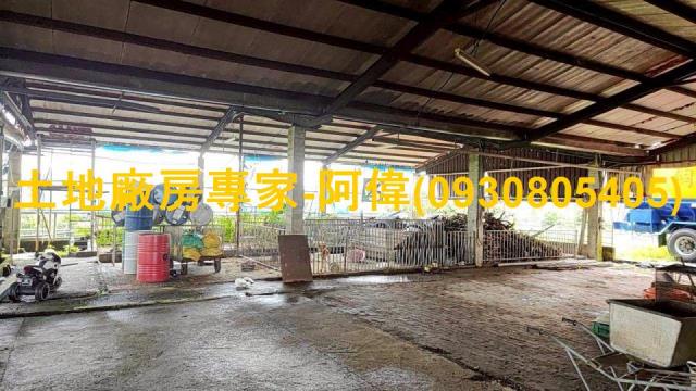 阿蓮農地-1