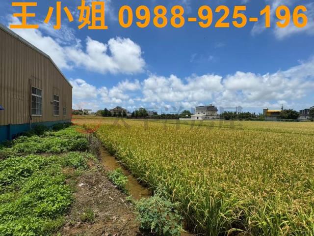 中壢農地-11