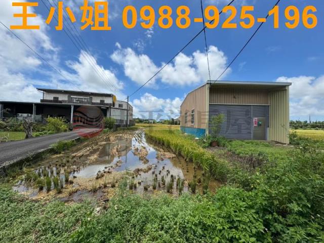 中壢農地-13