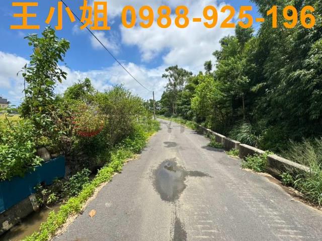 中壢農地-9