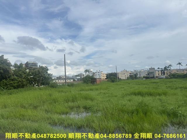 秀水農地-1